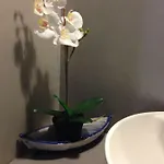 فيلة Naiada *